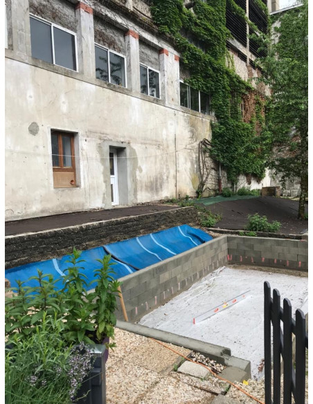 swim spa pool