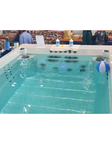 copy of Bazén swim pool idol spa shell