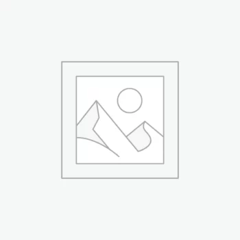 Zástupný symbol